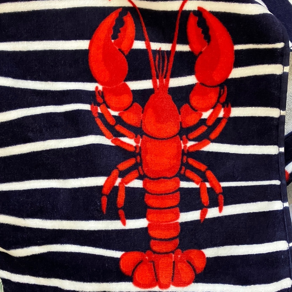 Brooks Brothers Lobster Striped Beach towel NWT - Picture 1 of 6